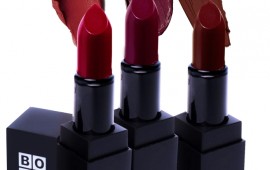 בועז שטיין משיק שפתונים בגווני חורף 2019 גווני חורף 2019 - בועז שטיין