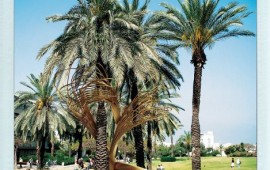 אוניברסיטת ת"א: אנדרטה של המעצב רון ארד תנציח את עליית יהודי אתיופיה