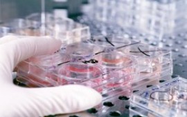 לראשונה: 5 חממות טכנולוגיות יופעלו ע"י יזמים