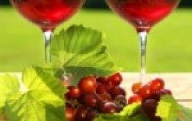 חגיגת יינות בוטיק בפסח wines