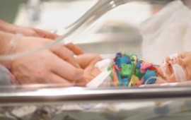 בהלה ברמב"ם: חשש להתפרצות שעלת בפגייה shaelrtpa