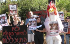 הסכמה מפתיעה: אנונימוס ולולני הצפון ייאבקו יחד למען תנאי התרנגולות anonhafor