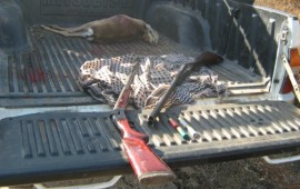 3 ציידי צבאים נתפסו ליד שכם zvizaid