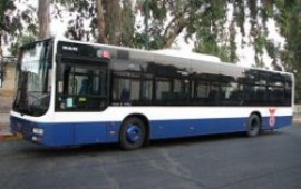 נהג האוטובוס שדרס למוות כלב פצוע זומן לשימוע ב"דן"