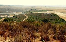 זכות קדימה לחיות: נחנך מעבר הרצף לחיות בר מעל כביש 70