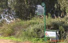 מצב המים: מנהלת הנחלים נערכת לניטור איכות המים בנהר הירדן