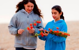 "הדר אשה" - פרח חדש בחזית המאבק נגד הדרת נשים
