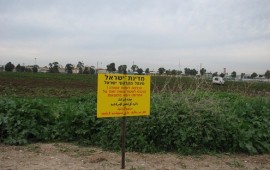 רמ"י פועלת נגד החקלאות הבלתי חוקית בבאר טוביה: פינתה 230 דונם שנזרעו בניגוד לחוק