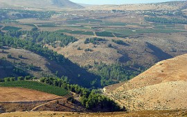 חופשה בגליל, 2011: כל האטרקציות והאירועים