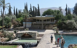 עמק המעיינות והגלבוע עם ילדים: המדריך המשפחתי המלא - מגן השלושה ובית שאן ועד נחל הקיבוצים וכוכב הירדן עמק המעיינות עם ילדים - גן השלושה
