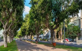 איך בודקים מה מתוכנן סביב הדירה לפני שקונים בתל אביב?