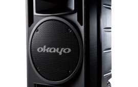 הבידוריות כובשות את ישראל – מה הופך בידורית לטובה? בידורית