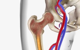 התפתחות הרפואה האורתופדית: מהפכות שמשנות את חיי המטופלים קרדיט תמונה FREEPIK