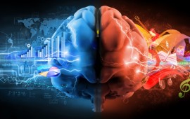 מהן יכולות קוגניטיביות וכיצד ניתן לשפר אותן? קרדיט לתמונה: Shutterstock