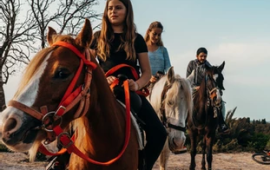 רכיבה על סוסים בחוות הפקאן