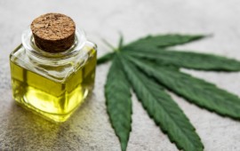 היכן ניתן לרכוש שמן CBD ללא מרשם רופא קרדיט : freepik