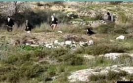 ארגוני זכויות אדם מתריעים: מינוי סמוטריץ הוא סיפוח משפטי של הגדה קרדיט: יש דין